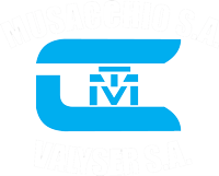 Valyser logo